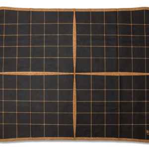 Single Ketso Action Grid
