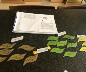 Structuring notes from reading in essay preparation