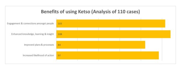 Workshops & Engagement | Ketso | Ketso Workshops